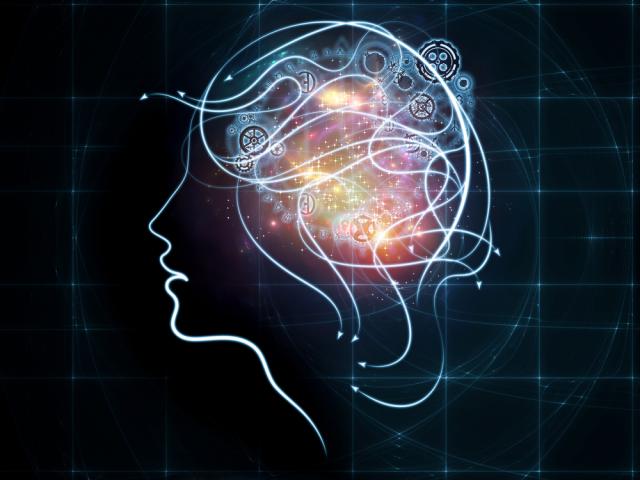 shutterstock_318232451