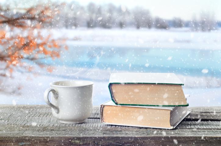 snow_book