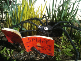 spidey_spider_0