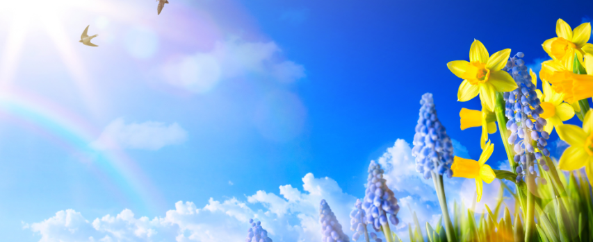 Event Image (978 x 400 px) (25)