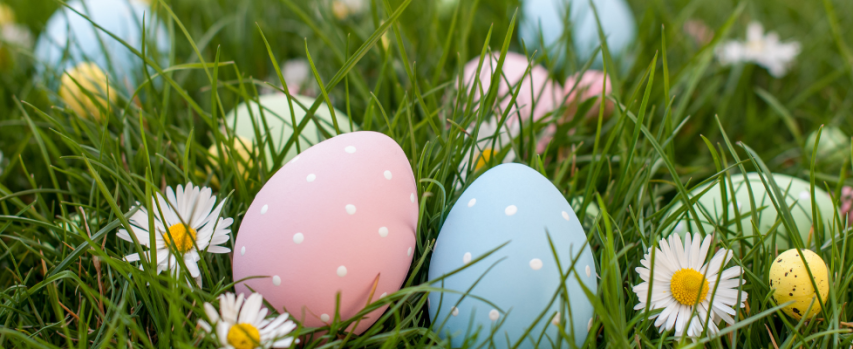 Event Image (978 x 400 px) (42)